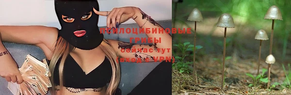 герыч Алексин