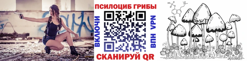купить  цена  KRAKEN ссылка  Псилоцибиновые грибы MAGIC MUSHROOMS  Осташков 